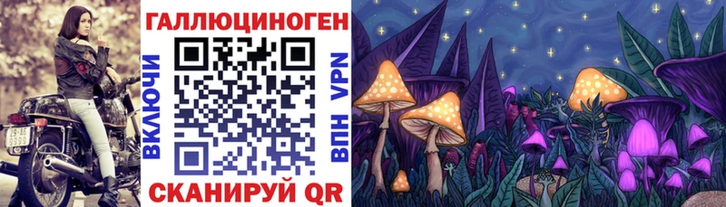 Псилоцибиновые грибы ЛСД  блэк спрут как войти  Змеиногорск 
